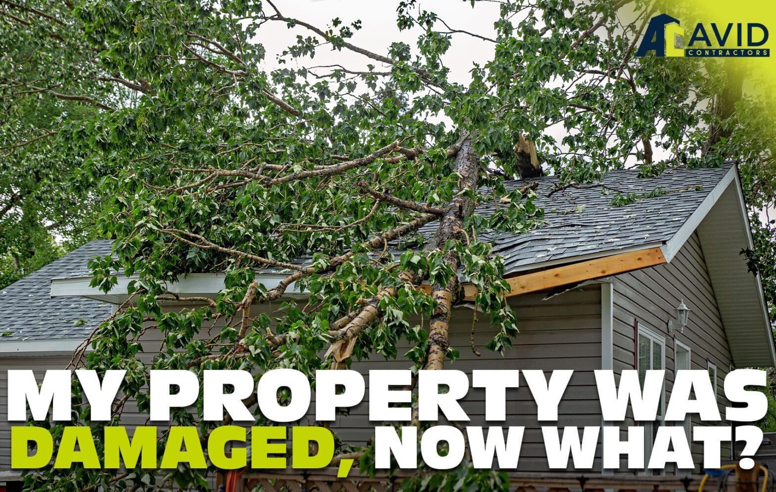 My Property Was Damaged, Now What?